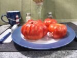 Jamfi Tomato Red Tomatoes