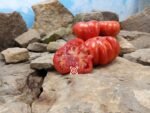 Jamfi Tomato Seeds