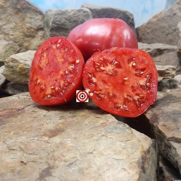 Mike's Mystery Tomato