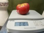 Mikes Mystery Tomato Red Tomato.