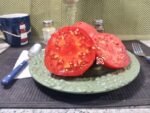 Mikes Mystery Tomato Seeds.