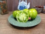 Mint Streaks Dwarf Tomato