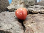 Moms Heart Tomato Heirloom Tomato