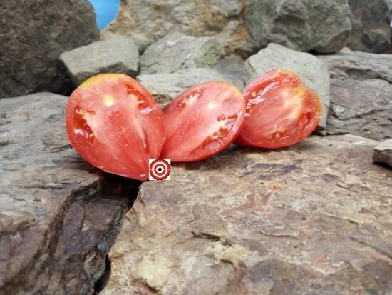 Pappy Kerns Tomato Seeds.