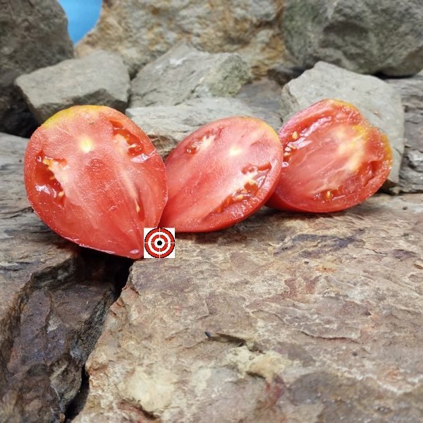 Pappy Kerns Tomato Seeds.