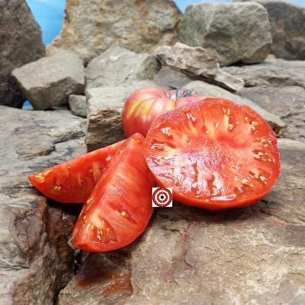 Pink Elephant Tomato