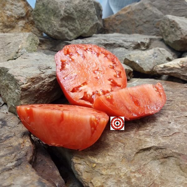 Polish C Tomato Red Tomato