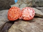 Polish C Tomato Sandwich Tomato