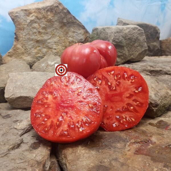Polish Ellis Tomato