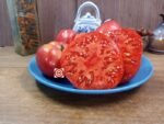 Polish Ellis Tomato Heirloom Tomato.