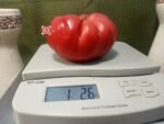 Polish Ellis Tomato Sandwich Tomato