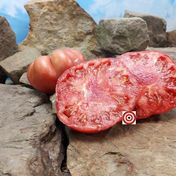 Turkey Creek Tomato