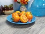 Zlatava Tomato