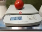 1200-21-DHF Tomato