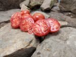 1200-21-DHF Tomato Rare Tomato Seeds