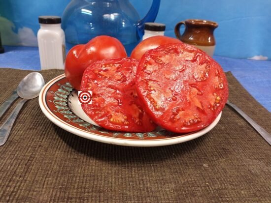 Ace 55 Tomato