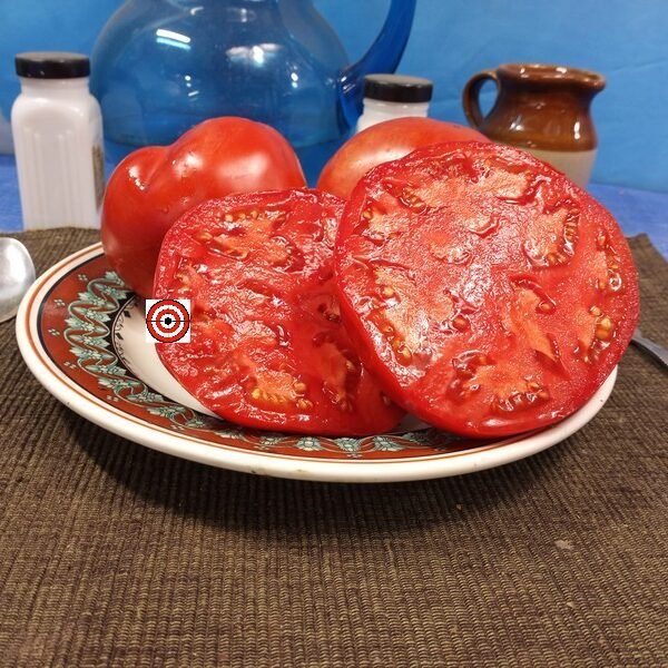 Ace 55 Tomato Seeds