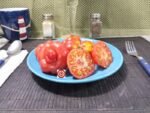 African Togo Tomato Heirloom Tomato Seeds