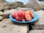 African Togo Tomato Salad Tomatoes
