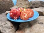 African Togo Tomato Seeds