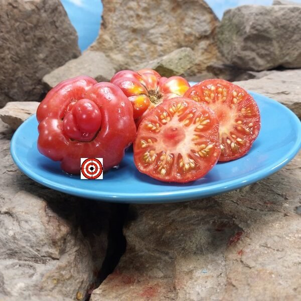 African Togo Tomato Seeds
