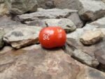 Alaskan Fancy Tomato