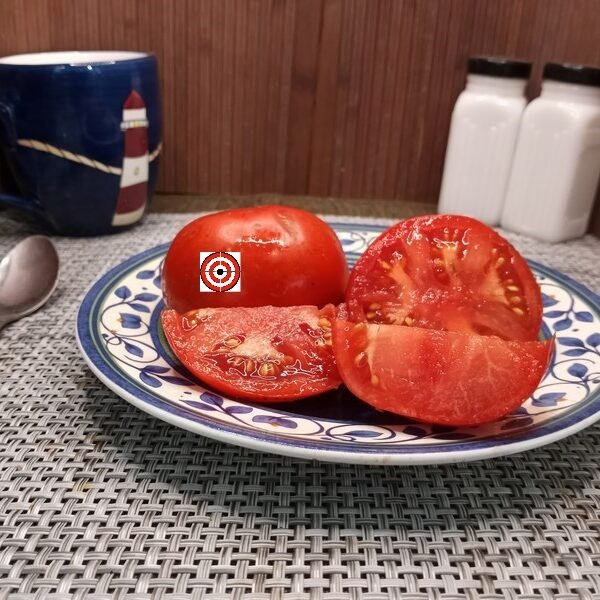 Alaskan Fancy Tomato Heirloom Tomato Seeds