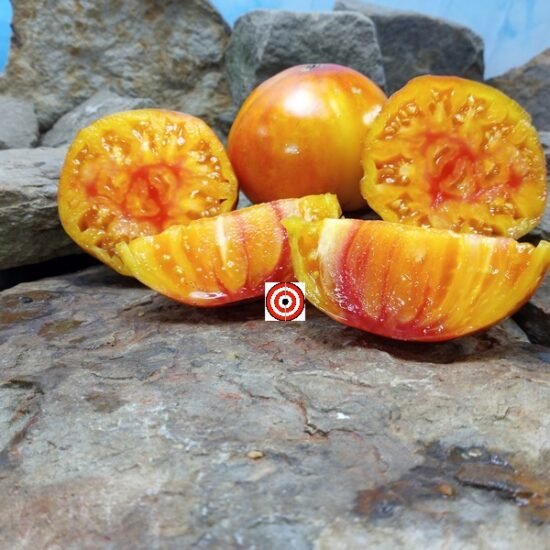 Allegheny Sunset Tomato Heirloom Seeds