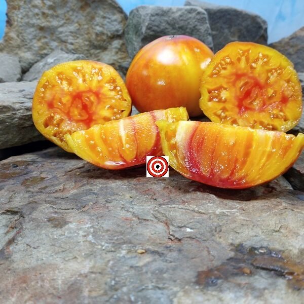 Allegheny Sunset Tomato Heirloom Seeds