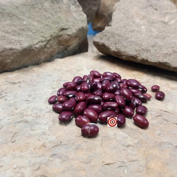 Amethyst Bean