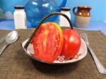 Amos Coli Tomato Heirloom Tomato Seeds