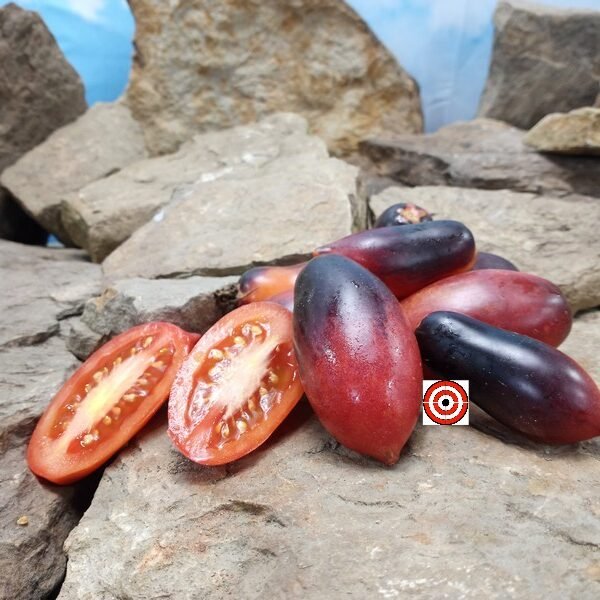 Ann's Dusky Rose Plum Dwarf Tomato