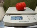 Berner Rosen Tomato