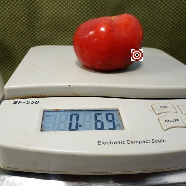 Berner Rosen Tomato