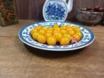 Blondkopfchen Tomato