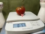 Bordo Tomato
