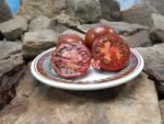 Bordo Tomato Rare Tomatoes