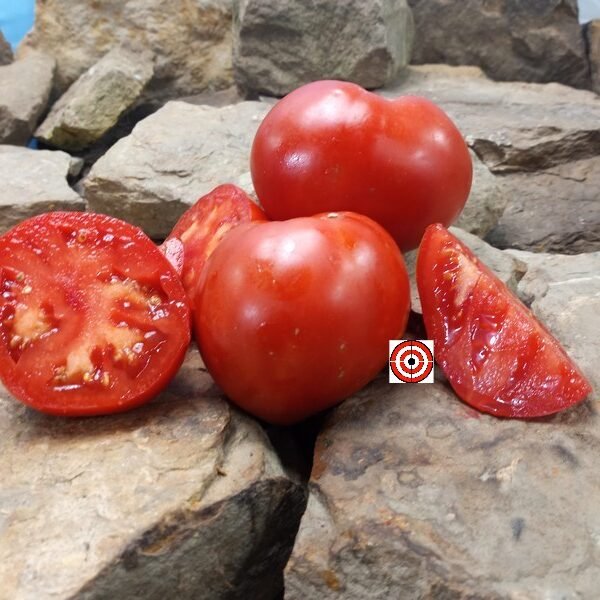 Dwarf Buddy's Heart Tomato