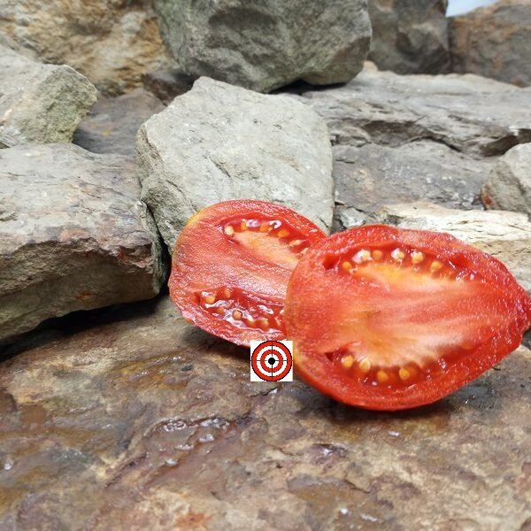 Bull's Headed Folly Tomato Seeds