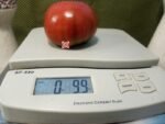 Carbon Tomato