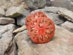 Carbon Tomato Heirloom Tomatoes