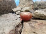 Carbon Tomato Seeds