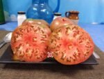 Chernose Seroste Tomato Giant Tomatoes
