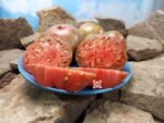 Chernose Seroste Tomato Heirloom Tomatoes