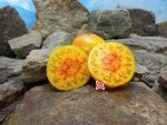 Cherokee Bicolor Tomato Slicing Tomato