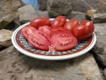 Crimson Plum F2 Tomato Paste Tomatoes