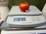 Daedelus Tomato