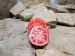 Daedelus Tomato Red Tomatoes