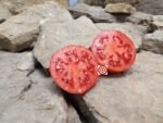 Daedelus Tomato by Dean Slater