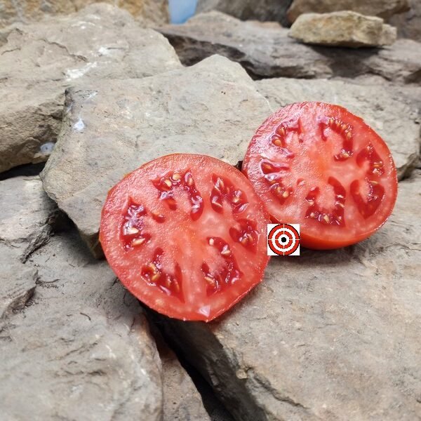 Daedelus Tomato by Dean Slater